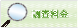 探偵調査料金